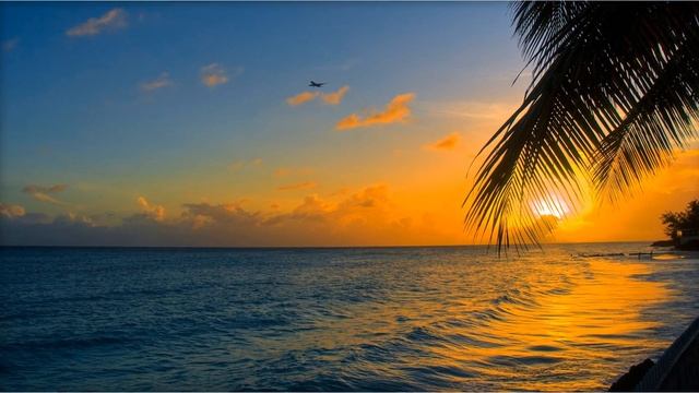 The Most Beautiful Beaches in The World | PART 3 HD смотреть онлайн