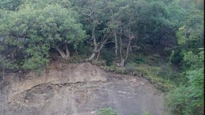 Пансионат Ай-Лия.Крым