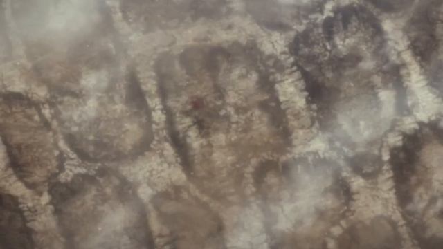𝙆𝙚𝙚𝙥 𝙈𝙤𝙫𝙞𝙣𝙜 𝙁𝙤𝙧𝙬𝙖𝙧𝙙 | eren yeager AMV смотреть онлайн