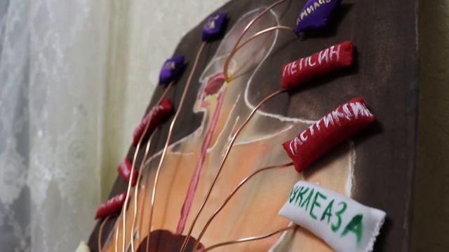 Творец-2020 "Работники пищеварительной системы" смотреть онлайн