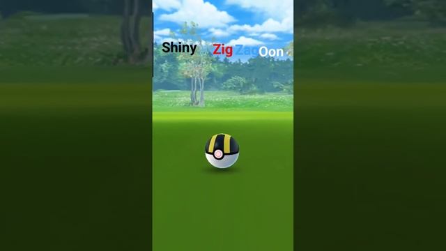 Shiny Zigzagoon #shiny #shinypokemon #pokemongo смотреть онлайн