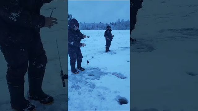 поимка форели смотреть онлайн