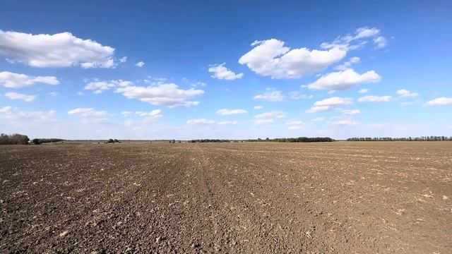 Полупар. 13.08.2024 смотреть онлайн