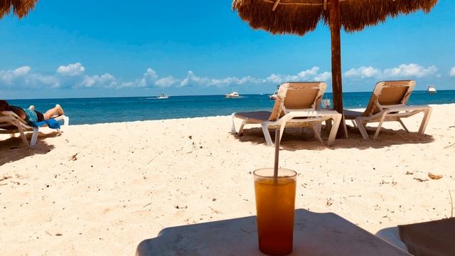 모히또에서 몰디브 한 잔 | A glass of Maldives from mojito [Travel] смотреть онлайн