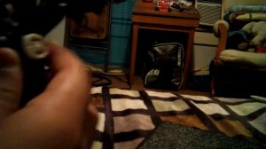 Scorpion Transformer