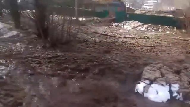 Сель в деревне.