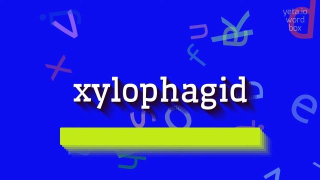 XYLOPHAGID - HOW TO PRONOUNCE XYLOPHAGID? #xylophagid смотреть онлайн