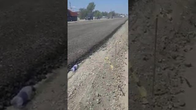 Народный репортер: Асфальт укладывают не пролив основание битумом смотреть онлайн