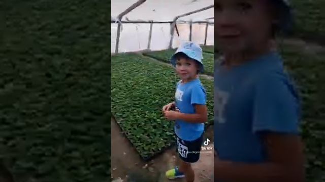 мой сынок смотреть онлайн