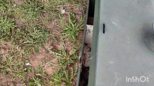 Разоблачение: Правда о септике ТОПАС после 4 лет