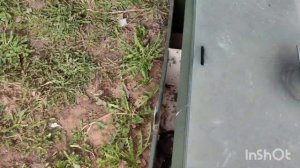 Разоблачение: Правда о септике ТОПАС после 4 лет