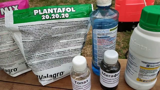 Обработка виноградника после цветения . смотреть онлайн