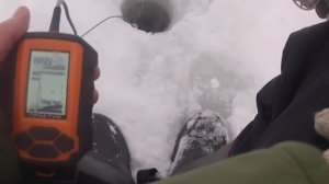 ОКУНЬ НА ЭКРАНЕ ЭХОЛОТА ПРАКТИК 6 S ПОКЛЕВКИ ВЫХОДЫ ПОДРОБНО!