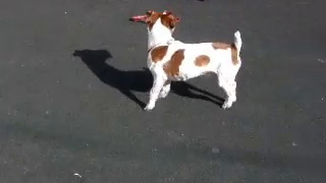 kliker: Поклон смотреть онлайн