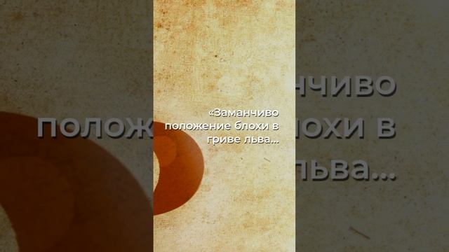 Когда маленькая кровь скрещивается с величием: история льва и блохи смотреть онлайн