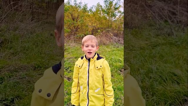 Ярослав Бондарев. "Осень", А.Фет. смотреть онлайн