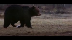 'Volkslied' 'Угрюм-река'.'Угрюм-река'