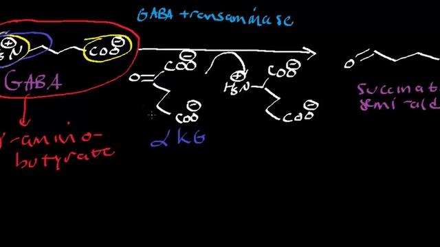 Biochemistry | Catabolism of GABA [AKA GABA Shunt] смотреть онлайн