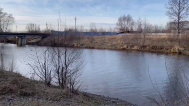 СОВСЕМ НЕТ СОВЕСТИ! ОЛЬГА УРАЛОЧКА LIVE. смотреть онлайн