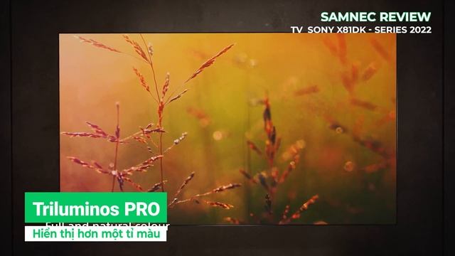 Smart TV Sony 4K X81DK - Tivi Sony Độc Quyền 2022 giá cực chất | Samnec Điện Máy смотреть онлайн
