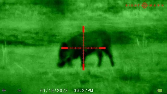 Sightmark Wraith HD 4-32x50 Digital Night Vision Riflescope - Video 2 смотреть онлайн