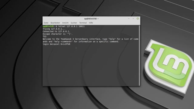 Teamspeak 3 Server: Query-Verbindung herstellen смотреть онлайн