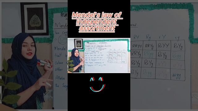 Mendel's Law of Independents Assortment смотреть онлайн