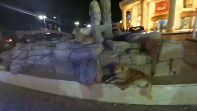 Египет. Вход в Наама Бэй с Михаилом Боярским смотреть онлайн