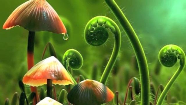 Biological Diversity Rocks video смотреть онлайн