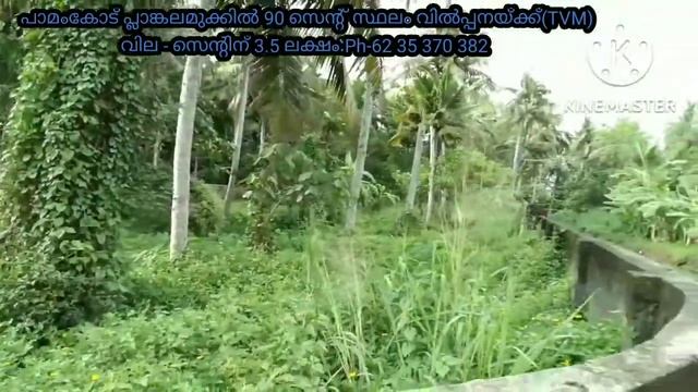 90 cent land for sale near Poozhikunnu(TVM)Ph-62 35 370 382 смотреть онлайн