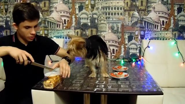 САМЫЙ ДЕШЁВЫЙ РУЛЕТ VS ДОРОГОЙ! [Проверка с Экспертом]-[ Олег Бурсов ] смотреть онлайн