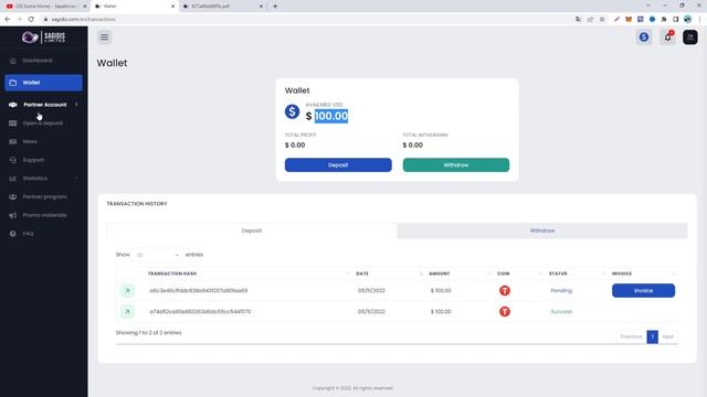 Sagidis Limited | Инвестиционные решения демонстрирующие способы объединения цифровых технологий смотреть онлайн
