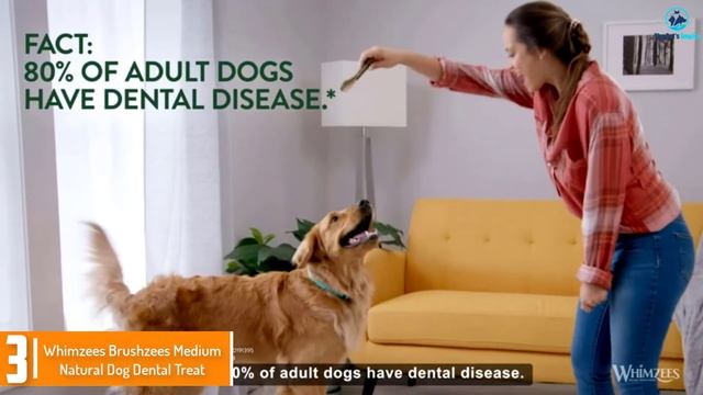 Best Healthy Dog Treats in 2021 [Top 5 Picks] смотреть онлайн