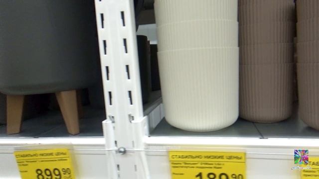 Что? Почем в Находке? декабрь 2024 смотреть онлайн