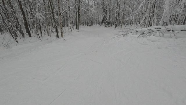 GX010239 смотреть онлайн