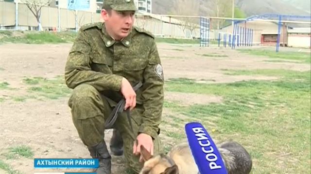 Соревнования по кинологии 16.04.18 г смотреть онлайн