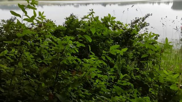 Отличный день в кругу семьи смотреть онлайн