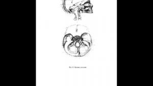 Пучко Людмила/БИОЛОКАЦИЯ ДЛЯ ВСЕХ. СИСТЕМА САМОДИАГНОСТИКИ И САМОИСЦЕЛЕНИЯ ЧЕЛОВЕКА - 2. Аудиокнига