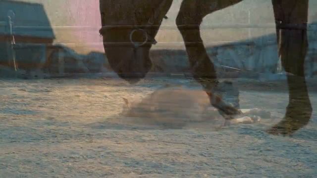 Когда люди увидели эту лошадь, то думали, что уже опоздали. Но произошло ЧУДО! смотреть онлайн