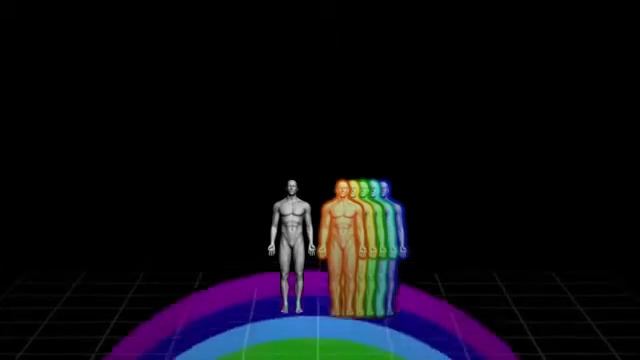 Многообразие жизни Серия 'Человек' Часть II смотреть онлайн