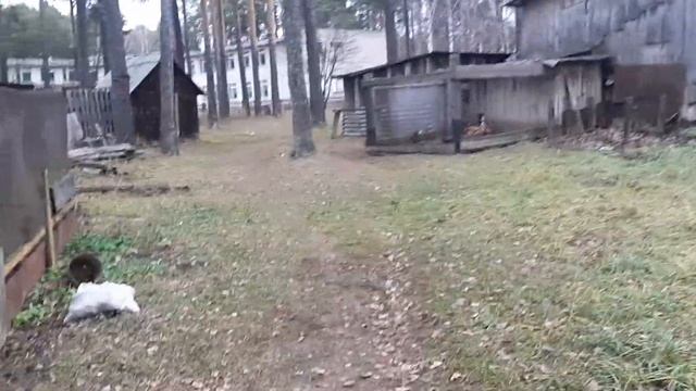 Karintorf (District of Kirovo-Chepetsk) 2 смотреть онлайн