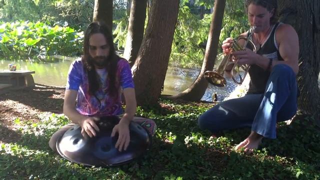 Elijah and Max Ribner - Handpan and Horn смотреть онлайн