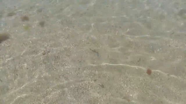 Анапа...вот и лето пришло. 7.06.2020 смотреть онлайн