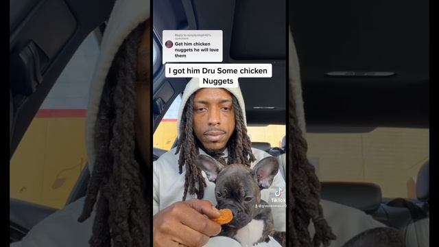 Food Review: tryna see if my puppy like #ChickenNuggets #foodreview #fyp #puppy #dog #food #explore смотреть онлайн