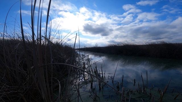 охота на утку смотреть онлайн