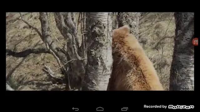 Земля Медведей (часть 2) смотреть онлайн