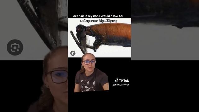 Loosejaws смотреть онлайн