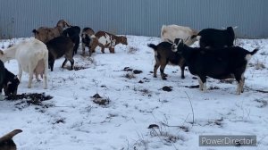 Нам администрация помогает во всём. Спасибо им за содействие
