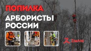ПОПИЛКА. Арбористы в работе. Бензопилы ZimAni