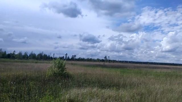 ЭкоПарк Ратманово www.ratmanovo.ru смотреть онлайн